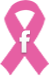 Pink Paddling Power Racine on Facebook